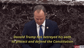 Adam Schiff Impeachment GIF