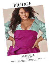 Sticker by Bridge Models