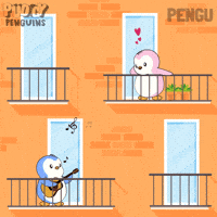 Valentines Day Love GIF by Pudgy Penguins