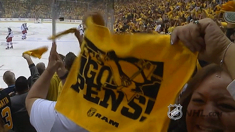 pittsburgh penguins pens GIF by NHL