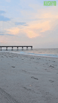Beach Ocean GIF by Kushy Dreams