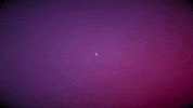 Jga Festivalreise GIF by Partybusse.de