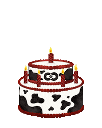 Happy Birthday Sticker by Cowe Communications