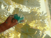 Outta My Head GIF by State Champs