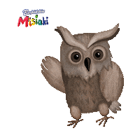 Owl Hello Sticker by Beskidzkie
