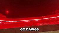 Stadium Glows Red for Bulldogs Natty Victory