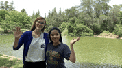 ucdavis wave welcome waving ucdavis GIF
