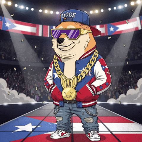 Puerto Rico Nfl GIF by Doge Pound