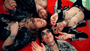 primadonna like me GIF by thestruts