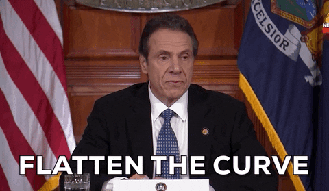 Andrew Cuomo Corona GIF by GIPHY News