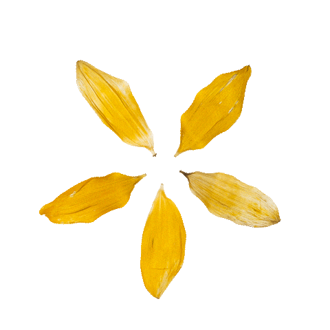 Summer Summit Sticker by pureencapsulations_de