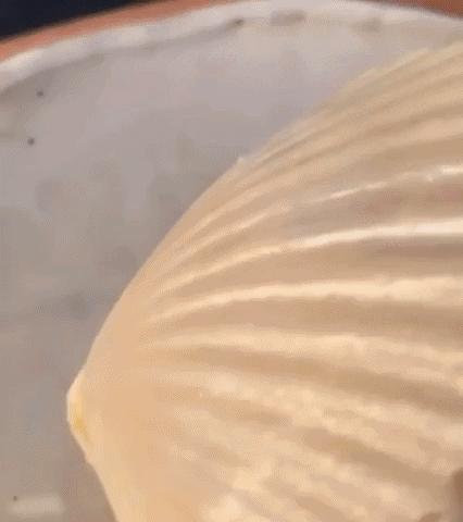 e-Kazan giphyupload GIF