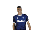 Soccer Goal Sticker by Karlsruher SC