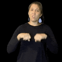 Asl Doesnt Work GIF