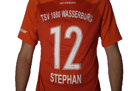 Wbg12 Sticker by WasserburgerLöwen