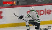 Happy Dallas Stars GIF by NHL