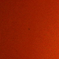 stop motion animation GIF by Scott Gelber