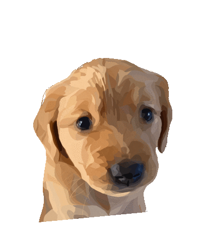 pawdesignco dog puppy golden retriever golden dog Sticker