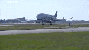 Take Off Plane GIF by euronews