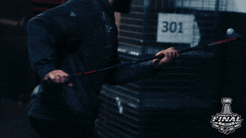ice hockey sport GIF by NHL