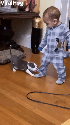 Puppy Tugs On Little Tyke GIF by ViralHog