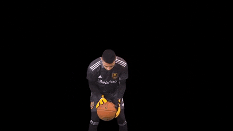 Major League Soccer Football GIF by realsaltlake