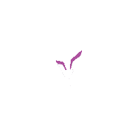 Cryptocurrency Viper Sticker by TheViperGroup