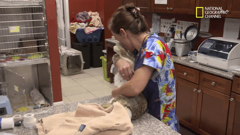 feel better nat geo wild GIF by Dr. K's Exotic Animal ER