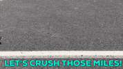 99WALKS fitness walking wellness walk GIF