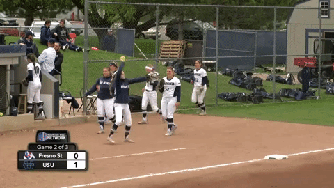 utah state softball GIF by USUAthletics