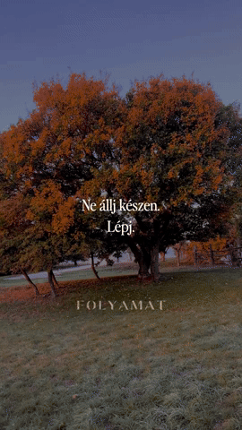 Folyamat giphyupload folyamat GIF