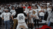 excited cincinnati bearcats GIF by University of Cincinnati Athletics
