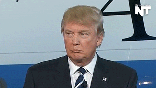 donald trump news GIF by NowThis 