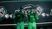 Ndsu Baseball GIF by NDSU Athletics