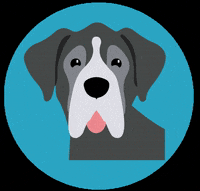 frankietheking frankie GIF