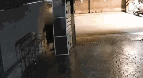 uuusssuuu giphyupload GIF