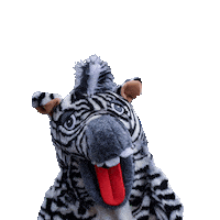 Zebra Hcv Sticker by Homburger Carneval Verein 1902 e.V.