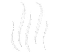 Coffee Steam Sticker