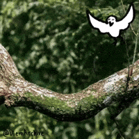 The Worm Dancing GIF