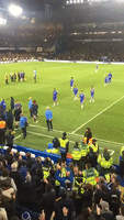 Fan Video Shows Moment Hiddink Knocked Over During Chelsea v Spurs Brawl