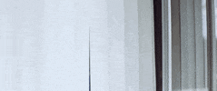 Monday Reaction GIF by The Knocks