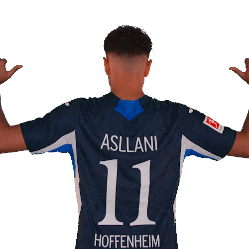 Sport Bundesliga Sticker by TSG Hoffenheim