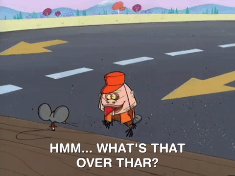 nickrewind giphydvr nicksplat angry beavers giphyab017 GIF
