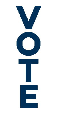 Politics Voting Sticker by Texas Democrats