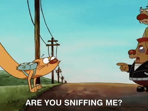nicksplat GIF