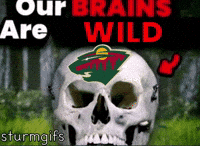 Minnesota Wild Hockey GIF