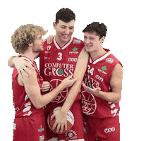 Lnp Levati Sticker by Use Basket