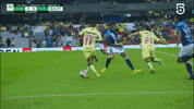 GIF by Club America