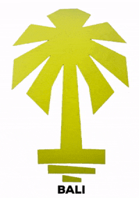 movement crossfit bali GIF by Crossfit Seminyak