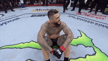 Mixed Martial Arts Sport GIF by UFC